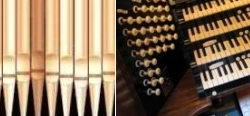 Organ Recitals 